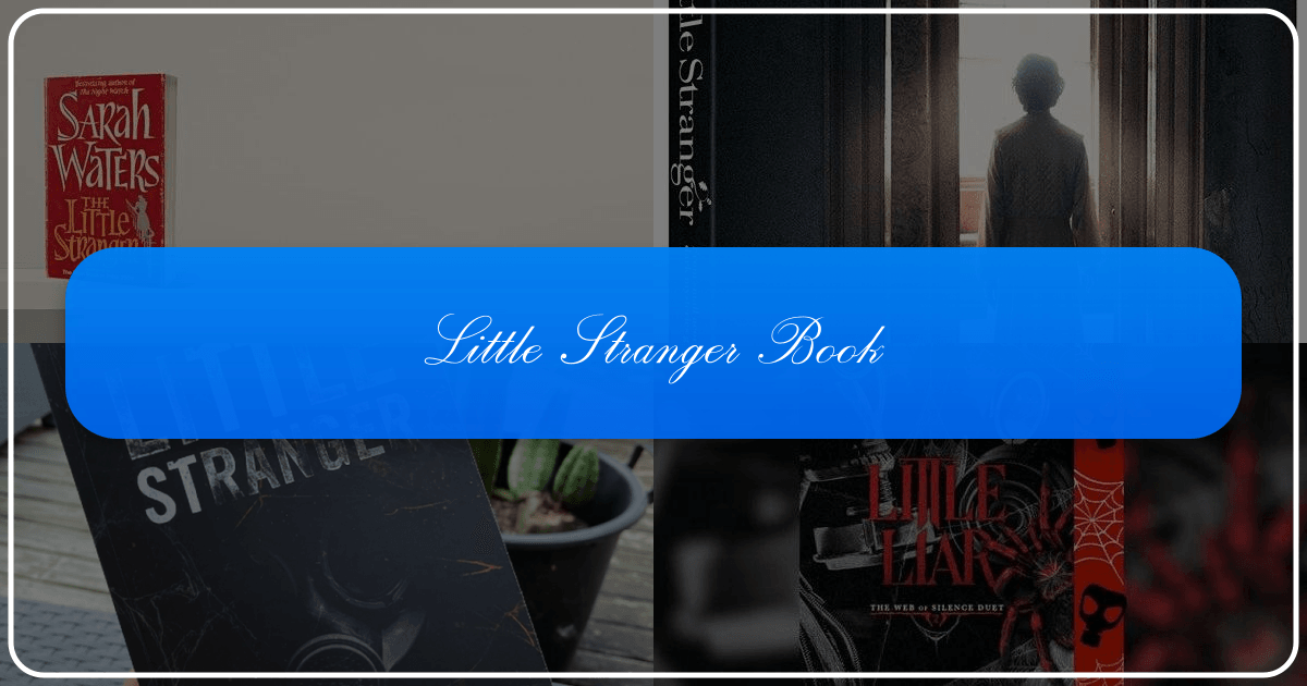 Analysis of "Little Stranger" a dark taboo romance novel by Leigh Rivers with intense polarizing reader reactions everywhere. /images/little-stranger-book.png