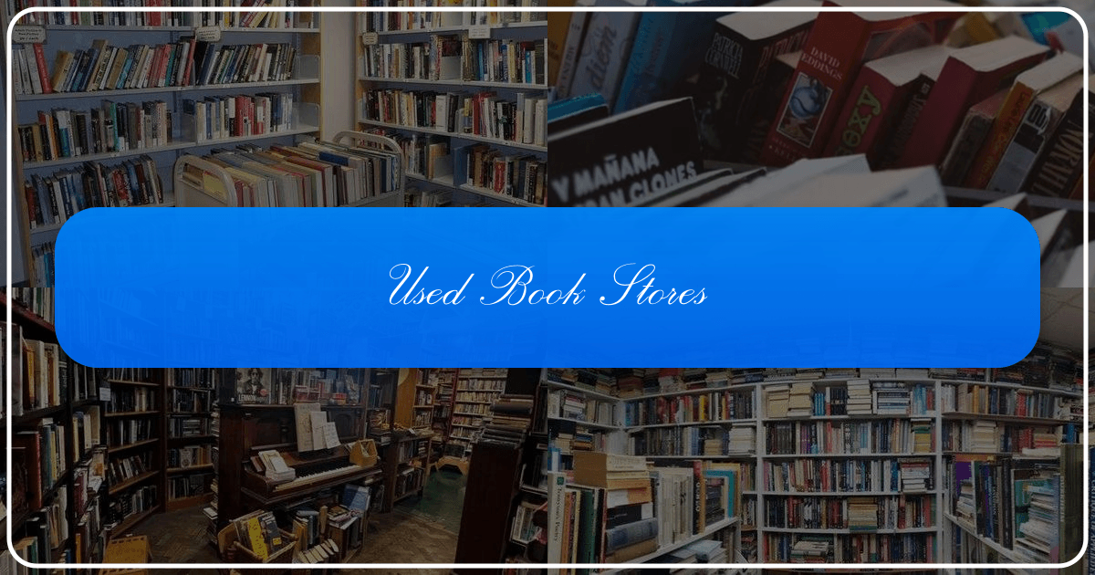 Used bookstores offer a unique, immersive experience beyond buying books, fostering community and preserving literary heritage. /images/used-book-stores.png