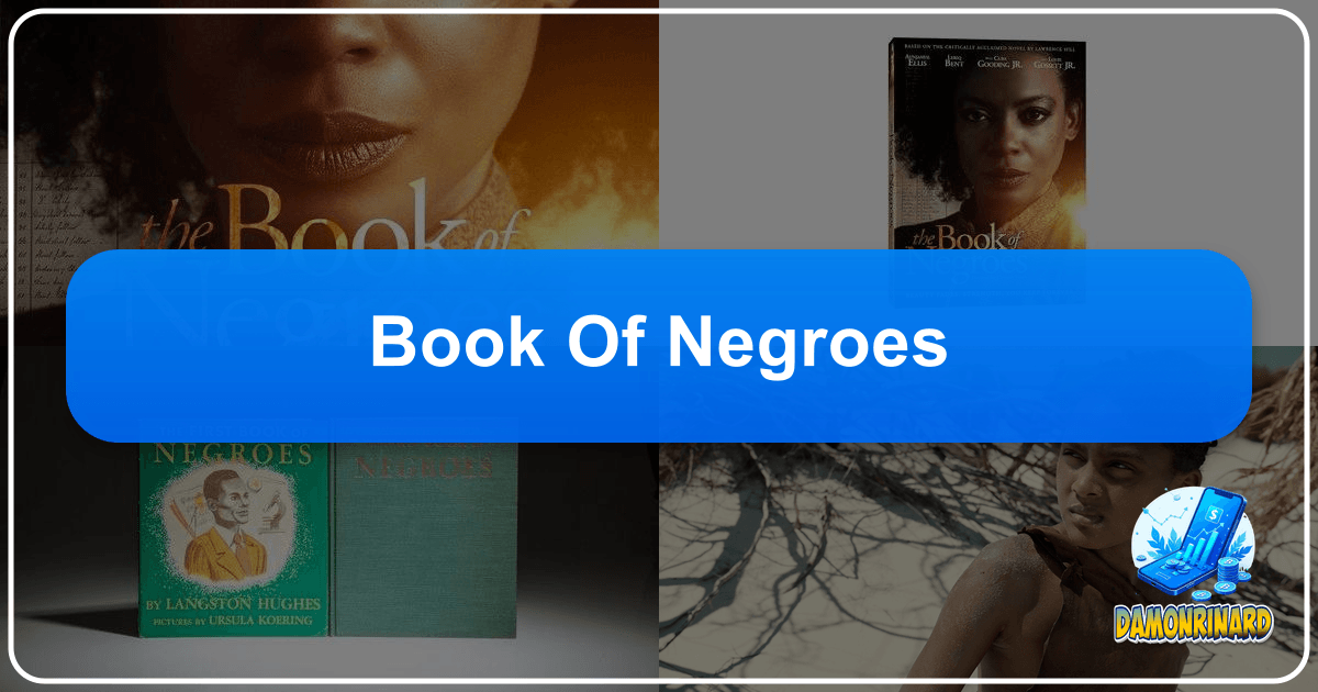 /images/book-of-negroes.png