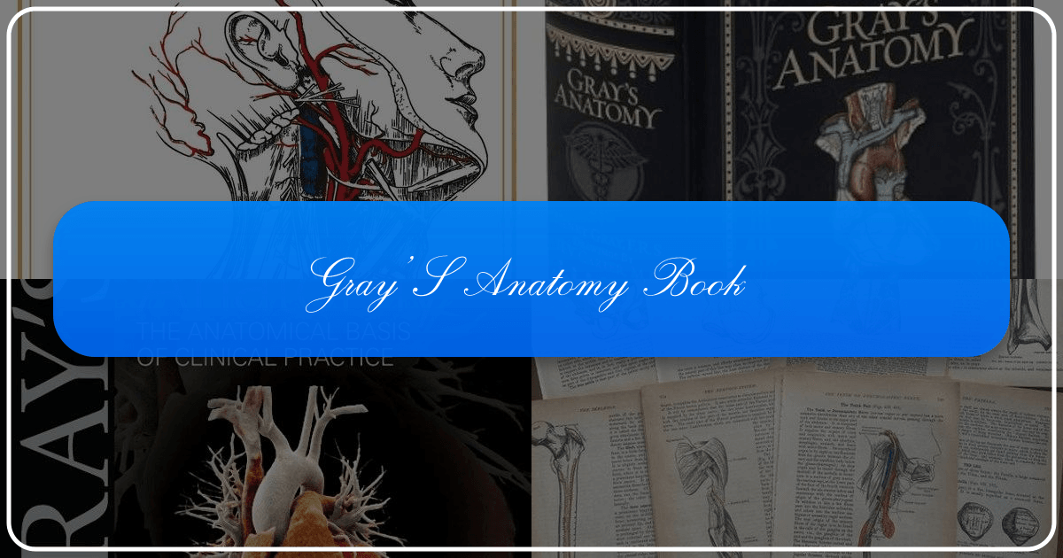Exploring Gray's Anatomy's impact on medicine, art, and culture as a timeless medical classic. /images/grays-anatomy-book.png