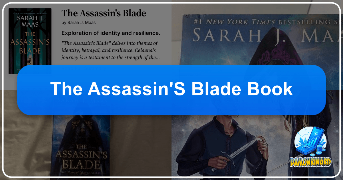 /images/the-assassins-blade-book.png