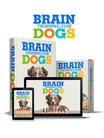 Brain Training For Dogs Ebook