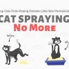 Cat Spraying No More Review