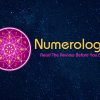 Numerologist Review